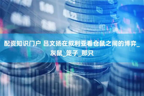 配资知识门户 吕文扬在叙利亚看仓鼠之间的博弈_灰鼠_笼子_那只