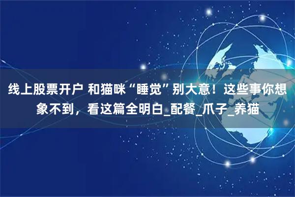 线上股票开户 和猫咪“睡觉”别大意！这些事你想象不到，看这篇全明白_配餐_爪子_养猫