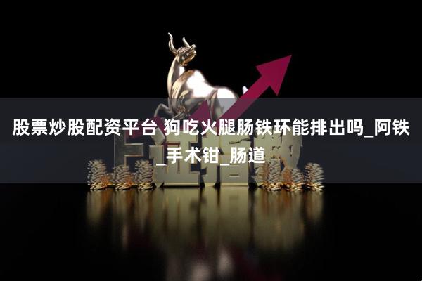 股票炒股配资平台 狗吃火腿肠铁环能排出吗_阿铁_手术钳_肠道