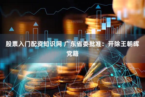 股票入门配资知识网 广东省委批准：开除王朝晖党籍