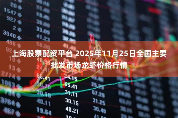 上海股票配资平台 2025年11月25日全国主要批发市场龙虾价格行情